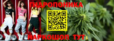 ПСИЛОЦИБИНОВЫЕ ГРИБЫ Нарткала
