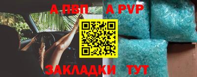 шишки Можга